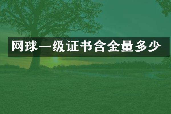 网球一级证书含金量多少