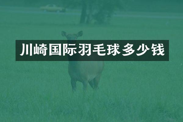 川崎国际羽毛球多少钱