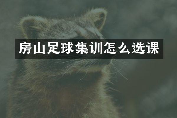 房山足球集训怎么选课