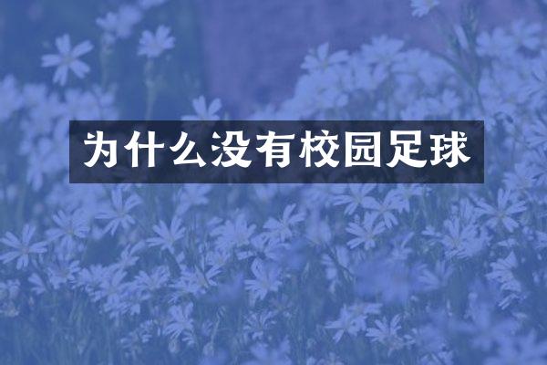 为什么没有校园足球