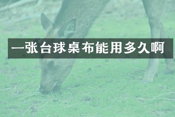 一张台球桌布能用多久啊