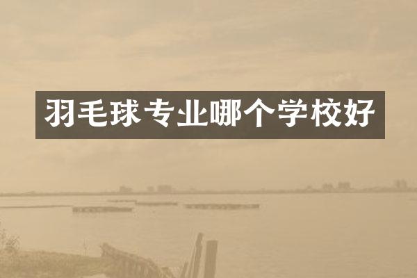 羽毛球专业哪个学校好