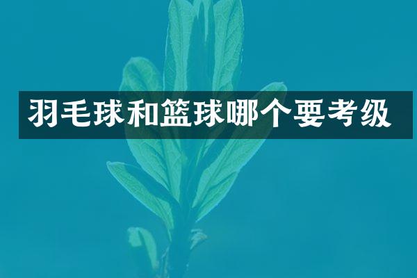羽毛球和篮球哪个要考级