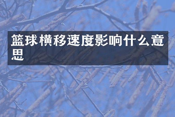 篮球横移速度影响什么意思