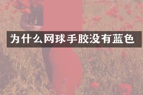 为什么网球手胶没有蓝色