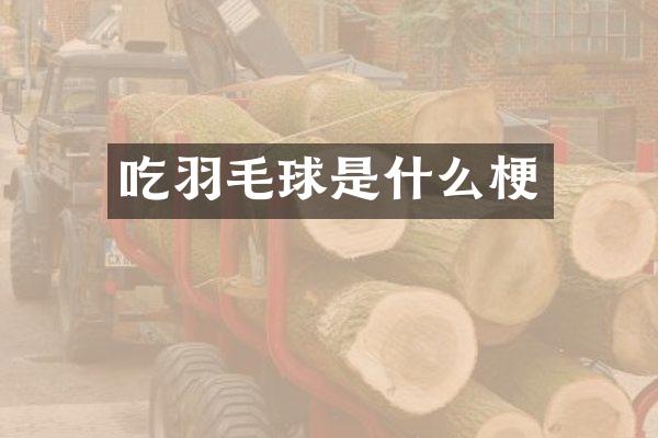吃羽毛球是什么梗