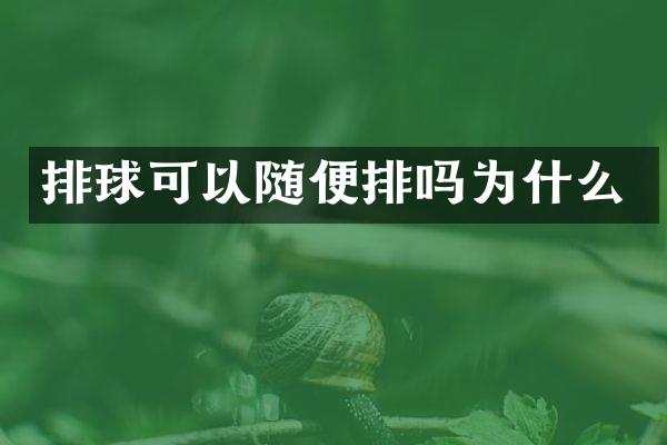 排球可以随便排吗为什么