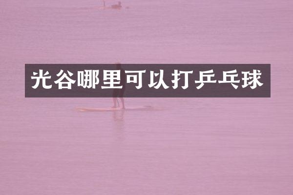 光谷哪里可以打乒乓球