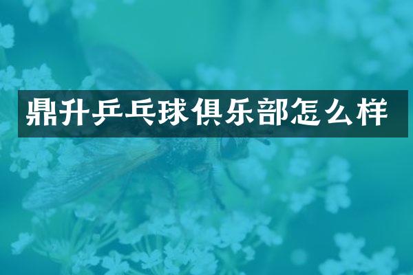 鼎升乒乓球俱乐部怎么样