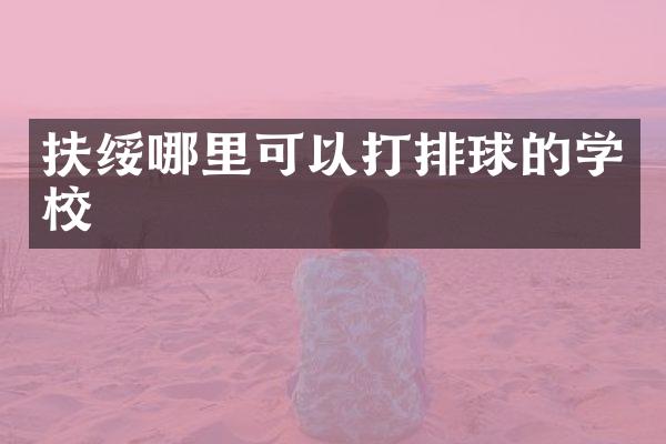 扶绥哪里可以打排球的学校
