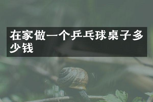在家做一个乒乓球桌子多少钱