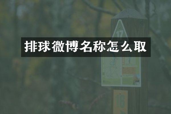 排球微博名称怎么取