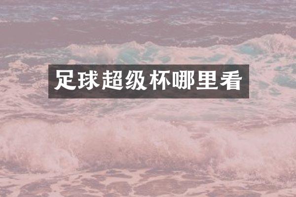 足球超级杯哪里看