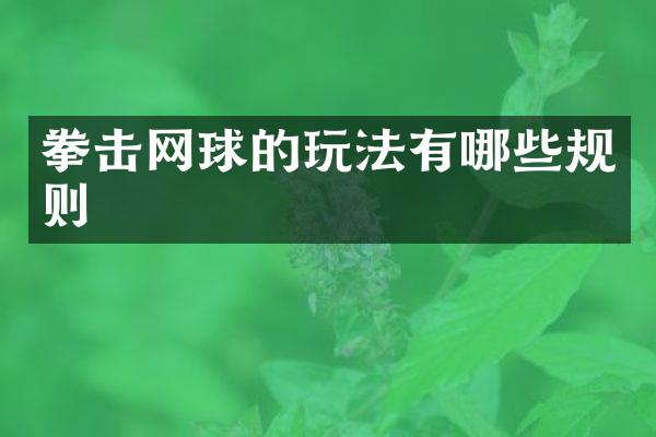 拳击网球的玩法有哪些规则