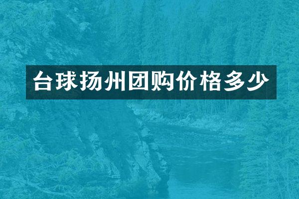 台球扬州团购价格多少