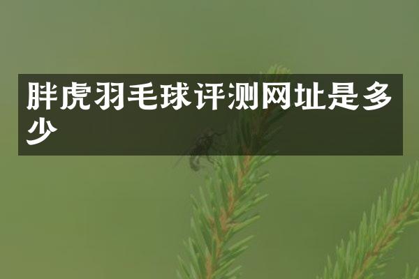 胖虎羽毛球评测网址是多少