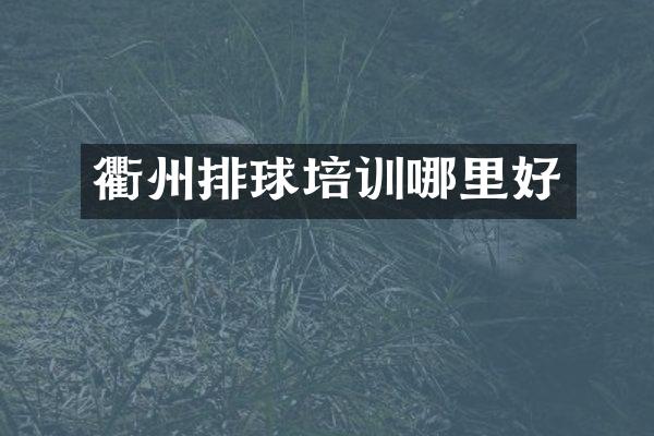 衢州排球培训哪里好
