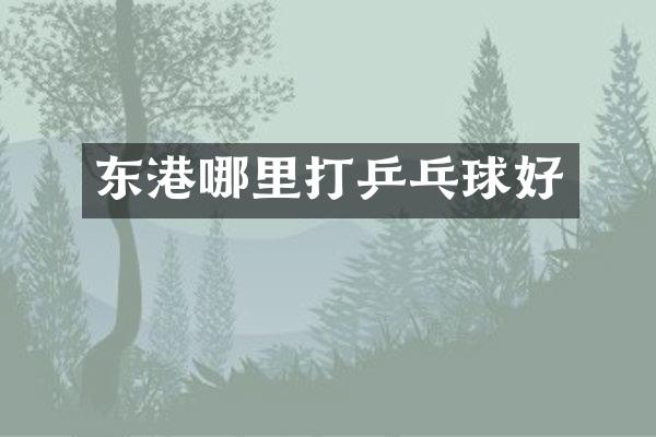 东港哪里打乒乓球好