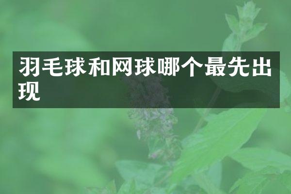 羽毛球和网球哪个最先出现
