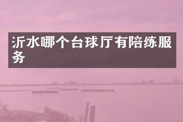 沂水哪个台球厅有陪练服务