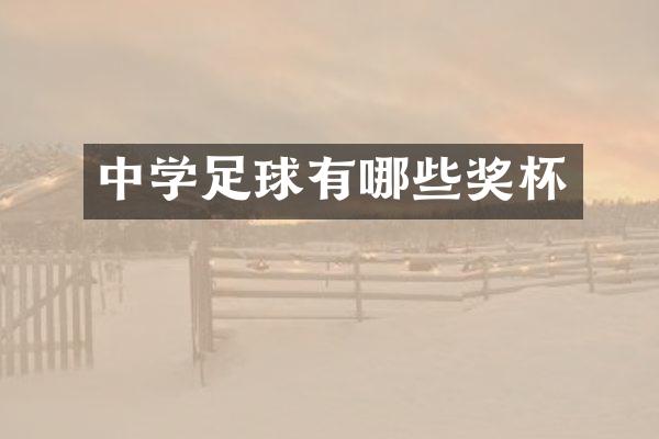 中学足球有哪些奖杯