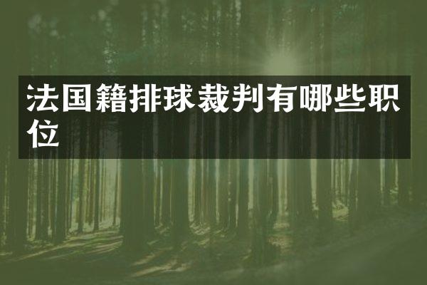 法国籍排球裁判有哪些职位