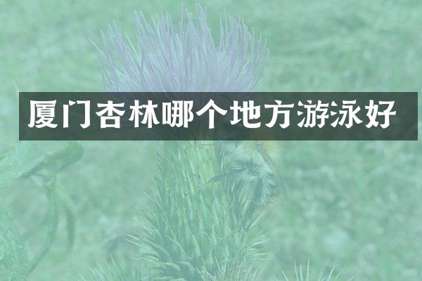 厦门杏林哪个地方游泳好