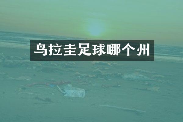 鸟拉圭足球哪个州