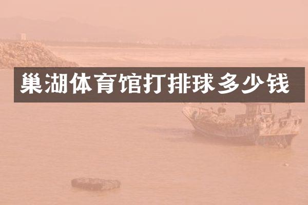 巢湖体育馆打排球多少钱
