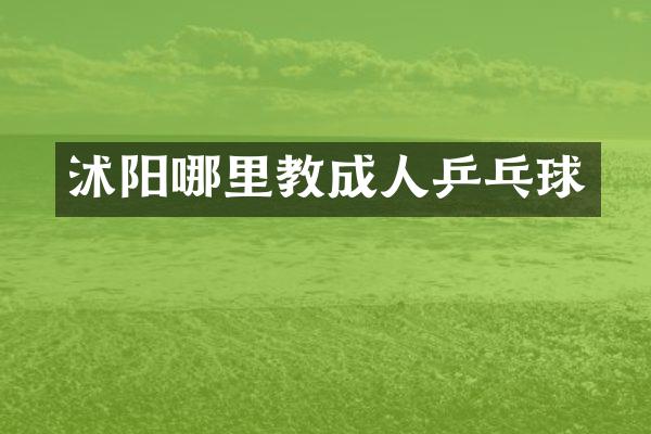 沭阳哪里教成人乒乓球