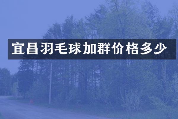 宜昌羽毛球加群价格多少