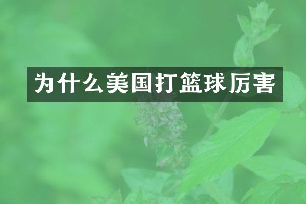 为什么美国打篮球厉害