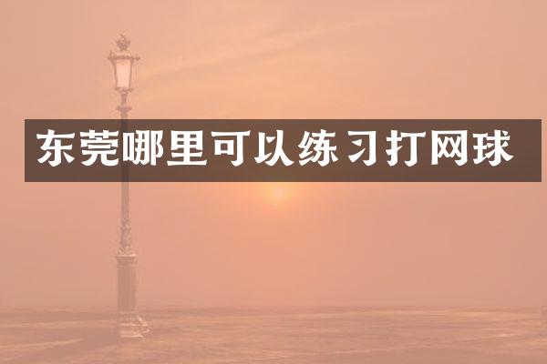 东莞哪里可以练习打网球