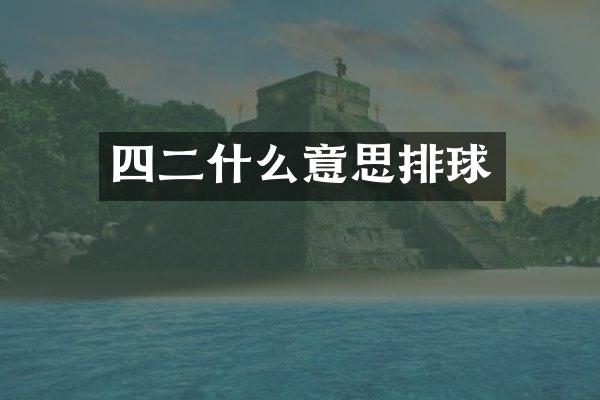 四二什么意思排球