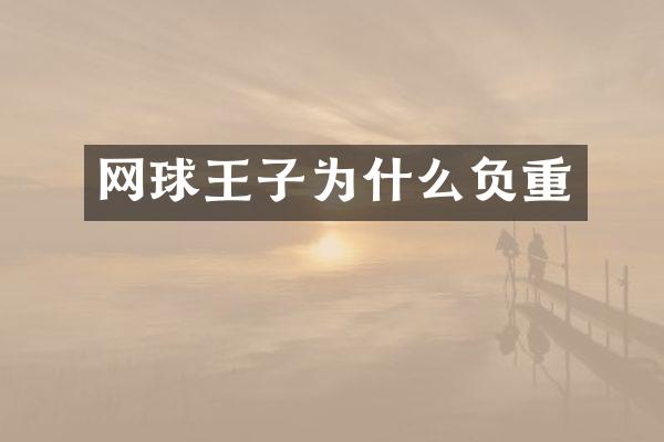 网球王子为什么负重