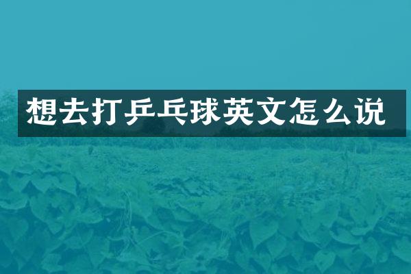 想去打乒乓球英文怎么说