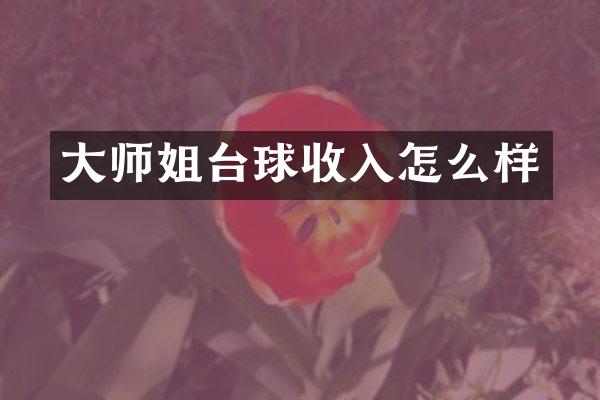 大师姐台球收入怎么样