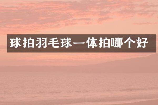 球拍羽毛球一体拍哪个好