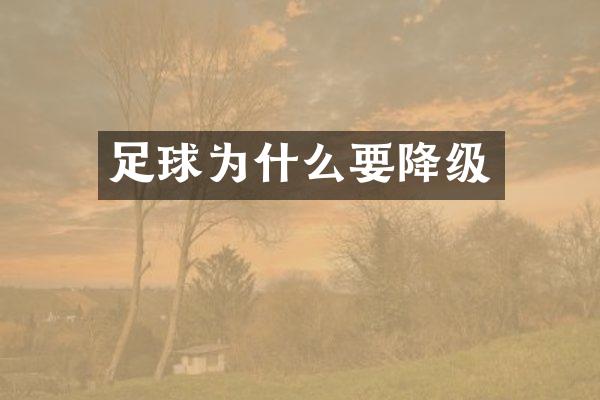足球为什么要降级