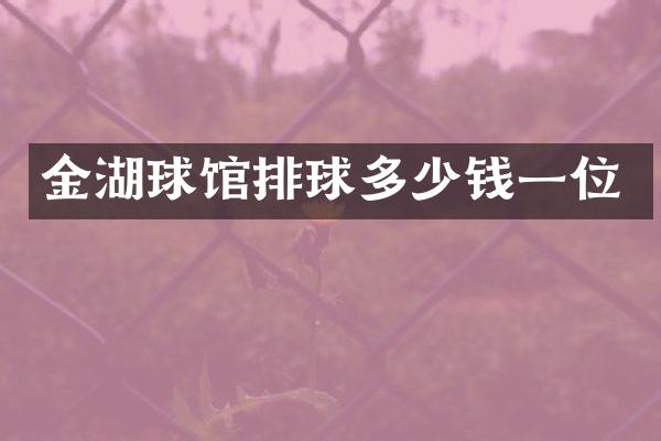 金湖球馆排球多少钱一位