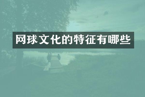 网球文化的特征有哪些