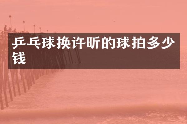 乒乓球换许昕的球拍多少钱