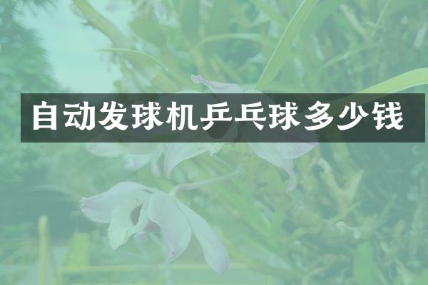 自动发球机乒乓球多少钱