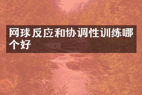 网球反应和协调性训练哪个好