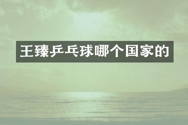 王臻乒乓球哪个国家的