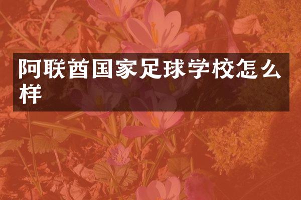阿联酋国家足球学校怎么样