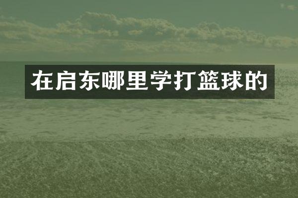 在启东哪里学打篮球的