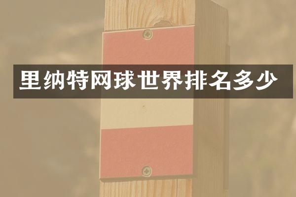 里纳特网球世界排名多少