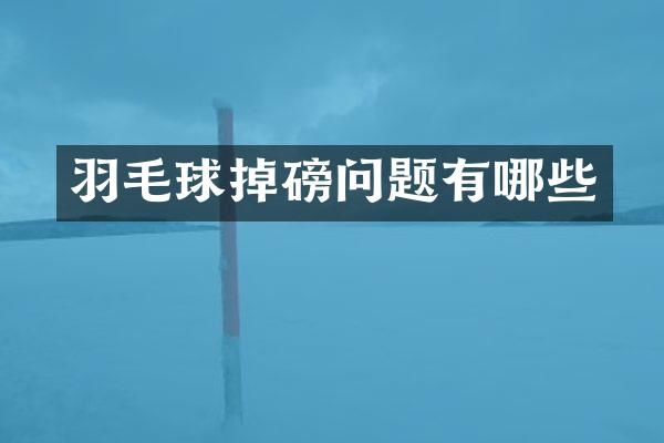 羽毛球掉磅问题有哪些