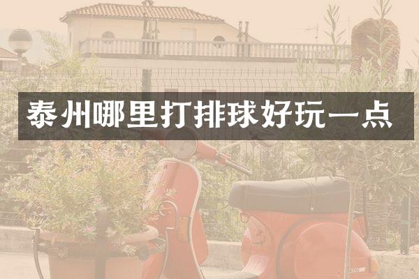 泰州哪里打排球好玩一点